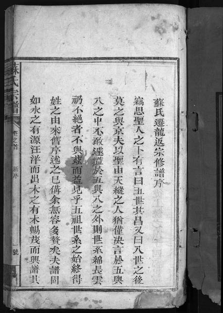 江西苏氏族谱-苏氏宗谱 [残卷].pdf电子版插图2