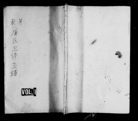 江西唐氏族谱-萍东唐氏支谱[8卷].pdf电子版