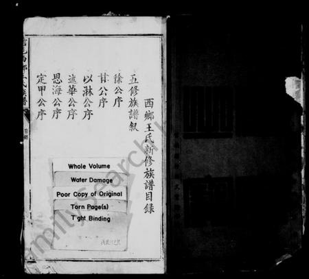 江西王氏族谱-信邑西乡王氏族谱 [残卷].pdf电子版插图2