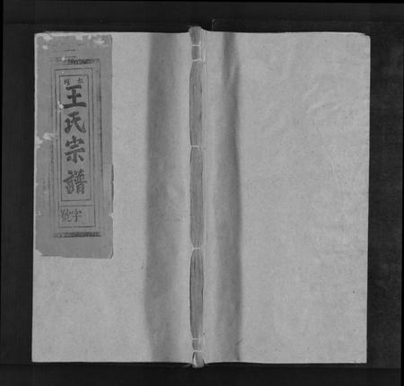 江西王氏族谱-太原王氏宗谱[不分卷].pdf电子版