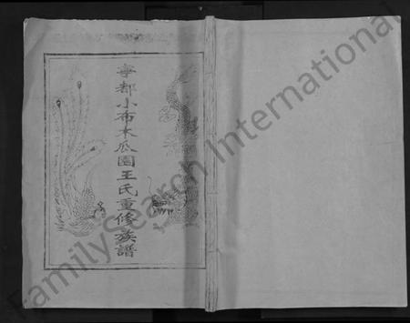 江西王氏族谱-宁都小布木瓜园王氏重修族谱 [不分卷].pdf电子版