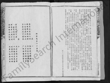 江西王氏族谱-宁都小布木瓜园王氏重修族谱 [不分卷].pdf电子版插图2