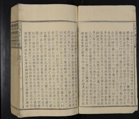 江西王氏族谱-王氏七修族谱 [不分卷].pdf电子版插图3