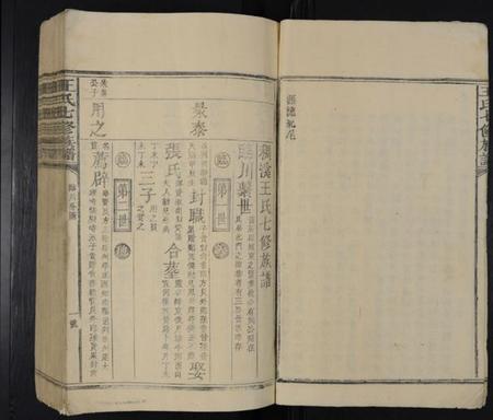 江西王氏族谱-王氏七修族谱 [不分卷].pdf电子版插图5