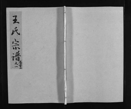 江西王氏族谱-王氏宗谱 [11卷,首2卷].pdf电子版插图1