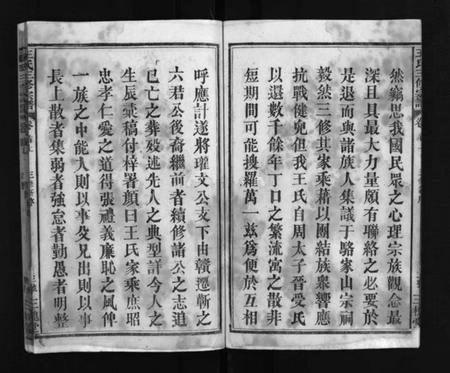 江西王氏族谱-王氏宗谱 [11卷,首2卷].pdf电子版插图4