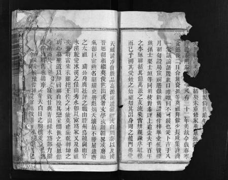 江西王氏族谱-王氏宗谱 [12卷].pdf电子版插图3