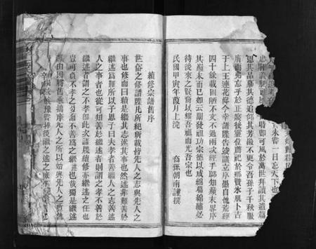 江西王氏族谱-王氏宗谱 [12卷].pdf电子版插图4