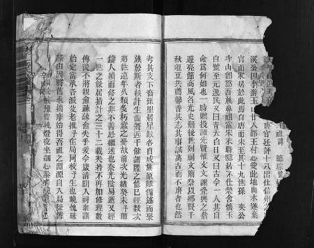 江西王氏族谱-王氏宗谱 [12卷].pdf电子版插图5