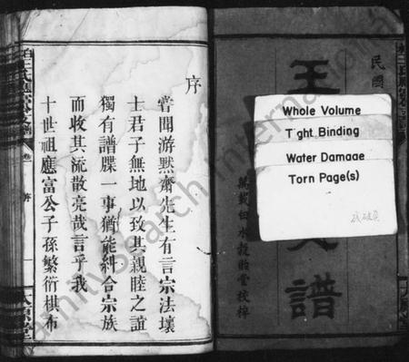 江西王氏族谱-王氏支谱 [16卷,附1卷].pdf电子版插图3