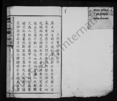 江西王氏族谱-王氏族谱 [卷数不明].pdf电子版插图1