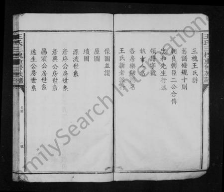 江西王氏族谱-王氏族谱 [卷数不明].pdf电子版插图5