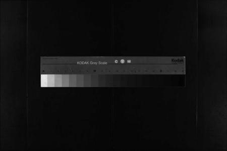 江西王氏族谱-金田王氏族谱 [18卷].pdf电子版