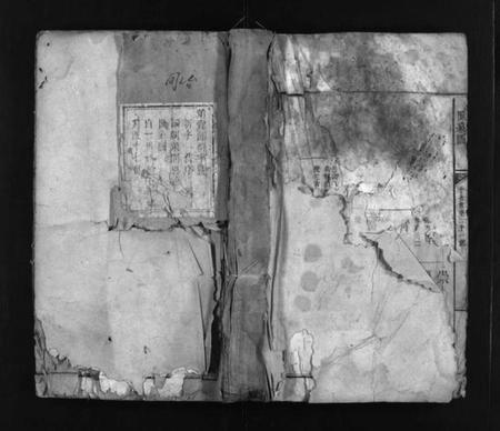 江西王氏族谱-金田王氏族谱 [18卷].pdf电子版插图1