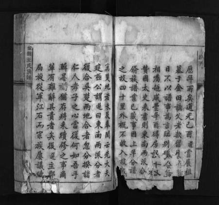 江西王氏族谱-金田王氏族谱 [18卷].pdf电子版插图4