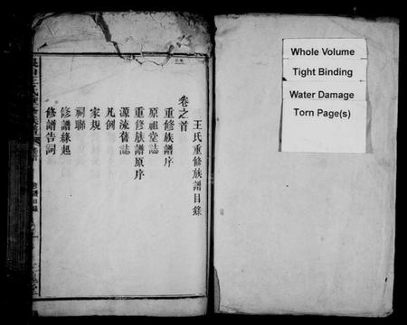 江西王氏族谱-银山王氏重修族谱.pdf电子版插图2 江西王氏族谱-银山王氏重修族谱.pdf电子版插图2