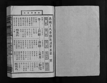 江西王氏族谱-银山王氏重修族谱 [总卷数不详].pdf电子版插图2