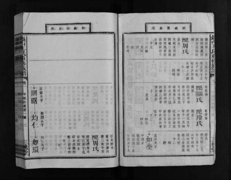 江西王氏族谱-银山王氏重修族谱 [总卷数不详].pdf电子版插图3