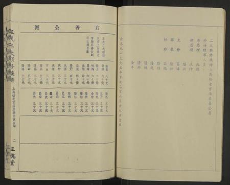 江西王氏族谱-王氏二次联修族谱[不分卷].pdf电子版插图2