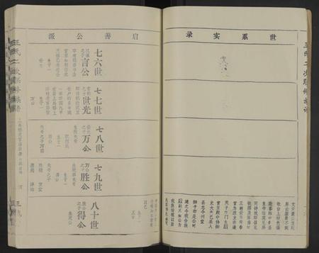 江西王氏族谱-王氏二次联修族谱[不分卷].pdf电子版插图4