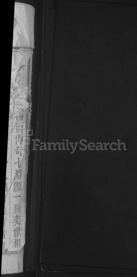 江西王氏族谱-王氏宗谱 [残卷].pdf电子版插图2