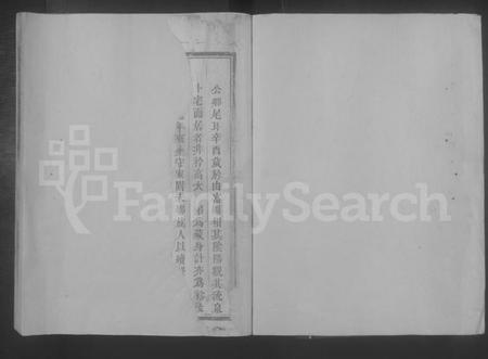 江西王氏族谱-兴万二邑王氏重修族谱 [不分卷].pdf电子版插图1