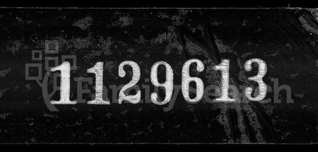 江西危氏族谱-南城县危氏家谱 [16卷,及卷首目录].pdf电子版