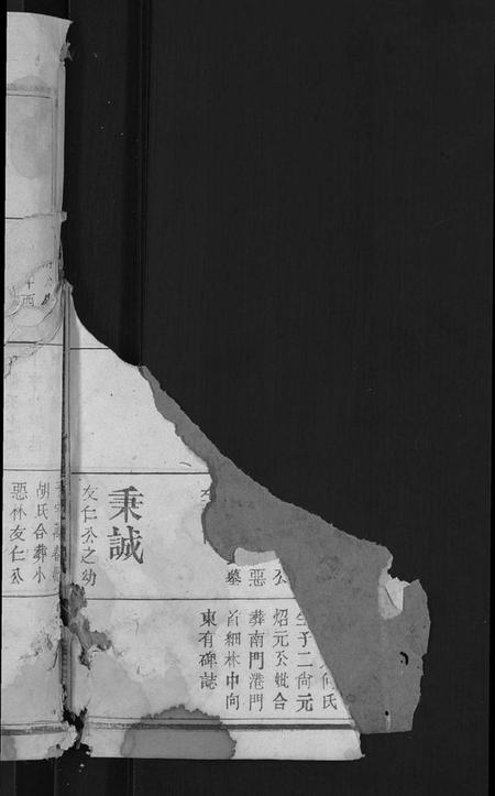 江西未知族谱-旌表义门宗谱 [46卷].pdf电子版插图4