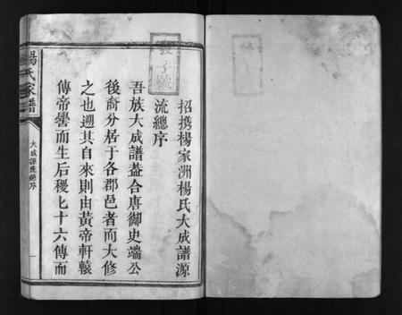 江西未知族谱-杨氏家谱 [不分卷].pdf电子版插图2