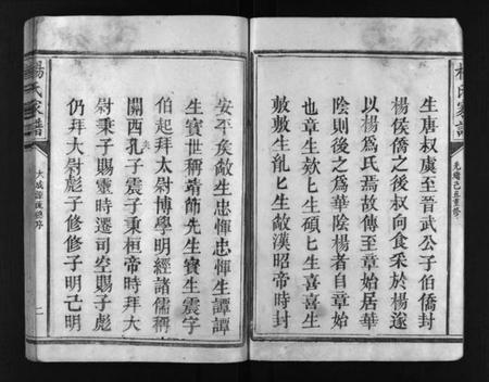 江西未知族谱-杨氏家谱 [不分卷].pdf电子版插图3