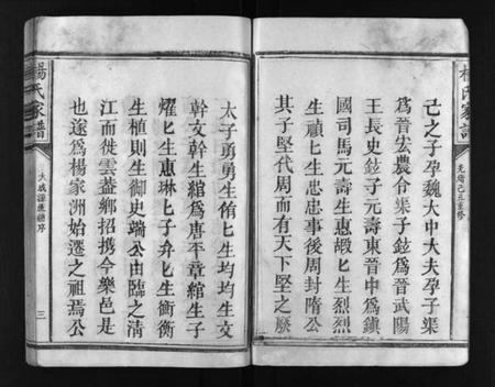 江西未知族谱-杨氏家谱 [不分卷].pdf电子版插图4