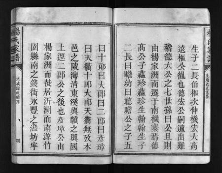 江西未知族谱-杨氏家谱 [不分卷].pdf电子版插图5