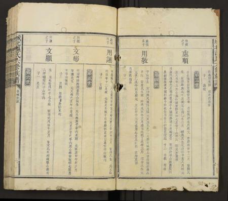 江西温氏族谱-城北太原温氏六修族谱[不分卷].pdf电子版插图2