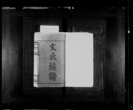 江西文氏族谱-大义口文氏族谱 [14卷].pdf电子版插图2