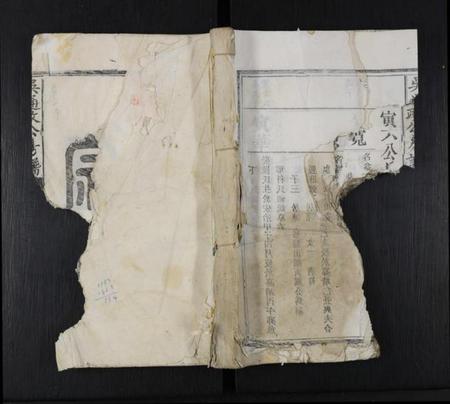 江西吴氏族谱-吴通政公房谱 [不分卷].pdf电子版