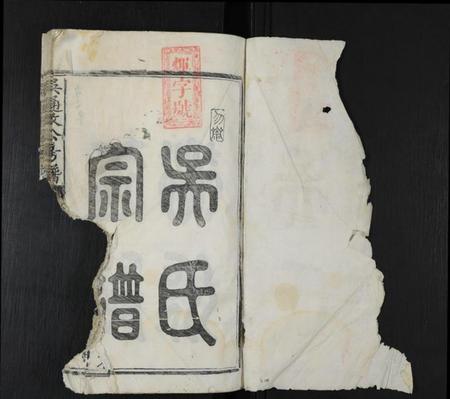 江西吴氏族谱-吴通政公房谱 [不分卷].pdf电子版插图2