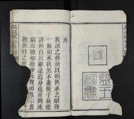 江西吴氏族谱-吴通政公房谱 [不分卷].pdf电子版插图4