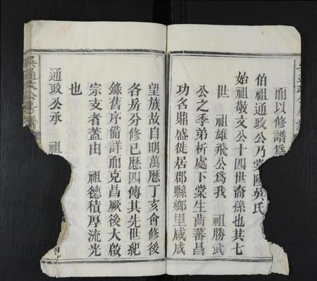 江西吴氏族谱-吴通政公房谱 [不分卷].pdf电子版插图5