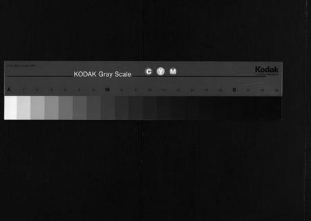 江西吴氏族谱-怀玉吴氏宗谱 [38卷,首末各1卷].pdf电子版