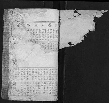 江西夏氏族谱-夏氏宗谱[总卷数不详].pdf电子版插图1