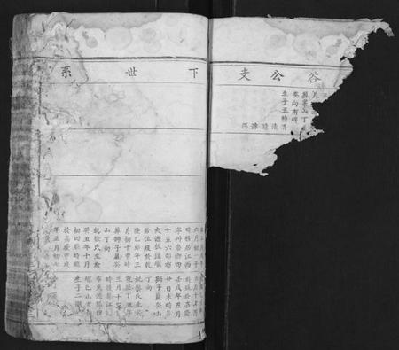 江西夏氏族谱-夏氏宗谱[总卷数不详].pdf电子版插图2