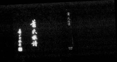 广东、福建萧氏族谱-萧氏族谱.pdf电子版插图1