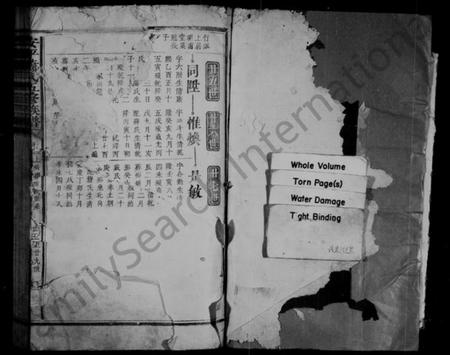 江西萧氏族谱-洋湖萧氏五修族谱 [残卷].pdf电子版插图1