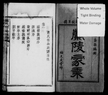 江西萧氏族谱-[萧氏]兰陵家乘[4卷].pdf电子版插图2