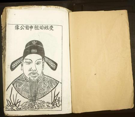 江西谢氏族谱-珍溪东山谢氏十一修族谱[不分卷].pdf电子版插图1