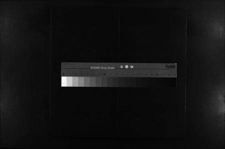 江西谢氏族谱-谢氏宗谱 [卷数杂异].pdf电子版