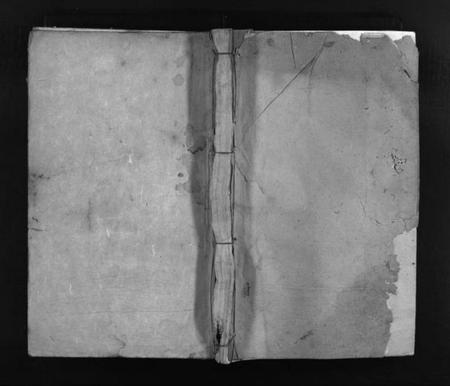 江西谢氏族谱-谢氏宗谱 [卷数杂异].pdf电子版插图1