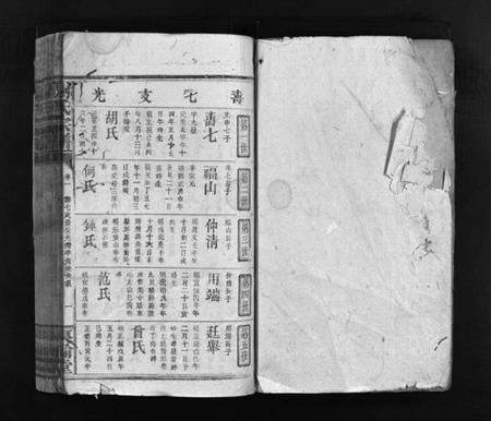 江西谢氏族谱-谢氏宗谱 [卷数杂异].pdf电子版插图2