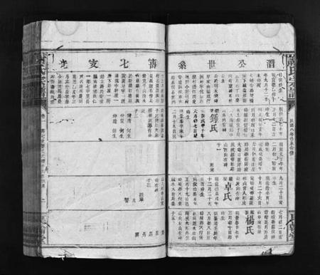 江西谢氏族谱-谢氏宗谱 [卷数杂异].pdf电子版插图3