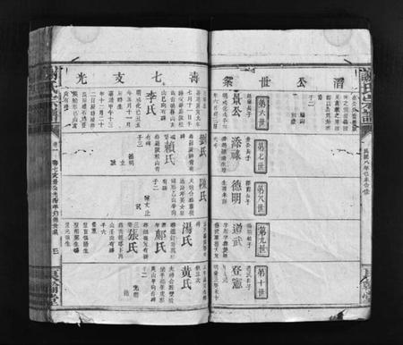 江西谢氏族谱-谢氏宗谱 [卷数杂异].pdf电子版插图4